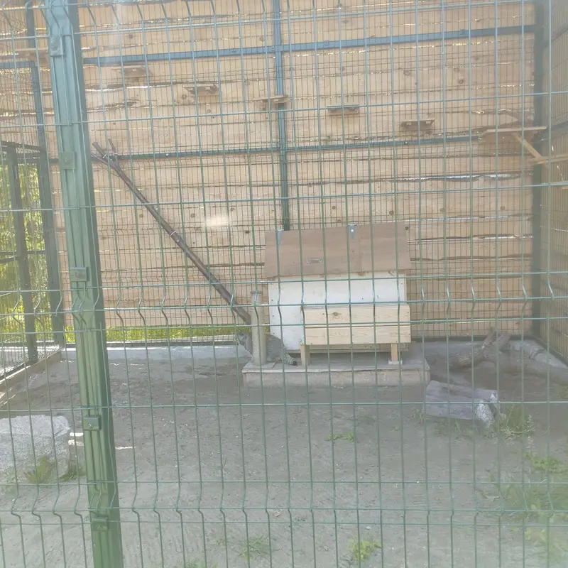 Фотография Чипа в Барнаульском Зоопарке «Лесная сказка»