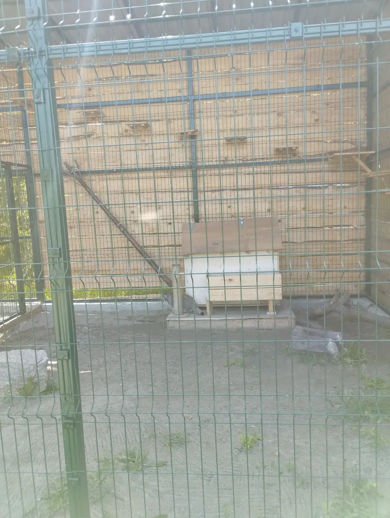 Фотография Чипа в Барнаульском Зоопарке «Лесная сказка»