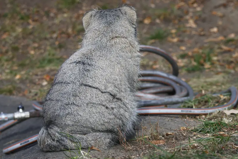 Фотография Тимофея в Московском зоопарке