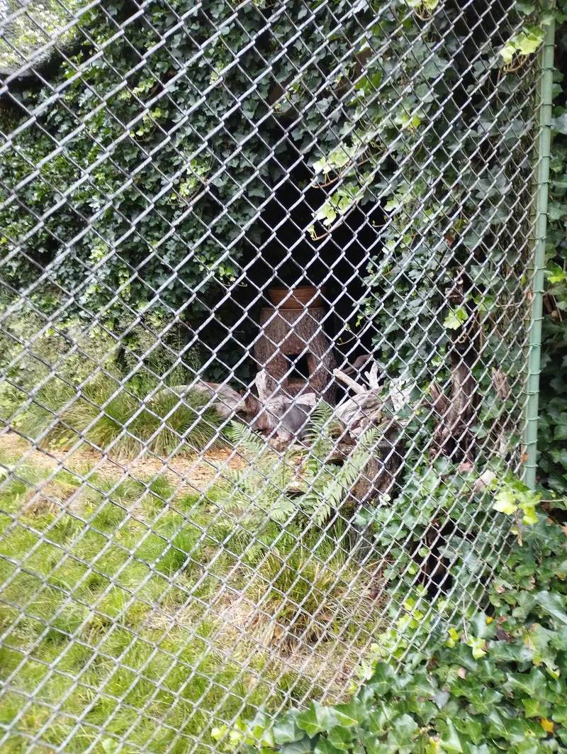 Фотография Плюши в Мюнхенском Зоопарке Хеллабрунн