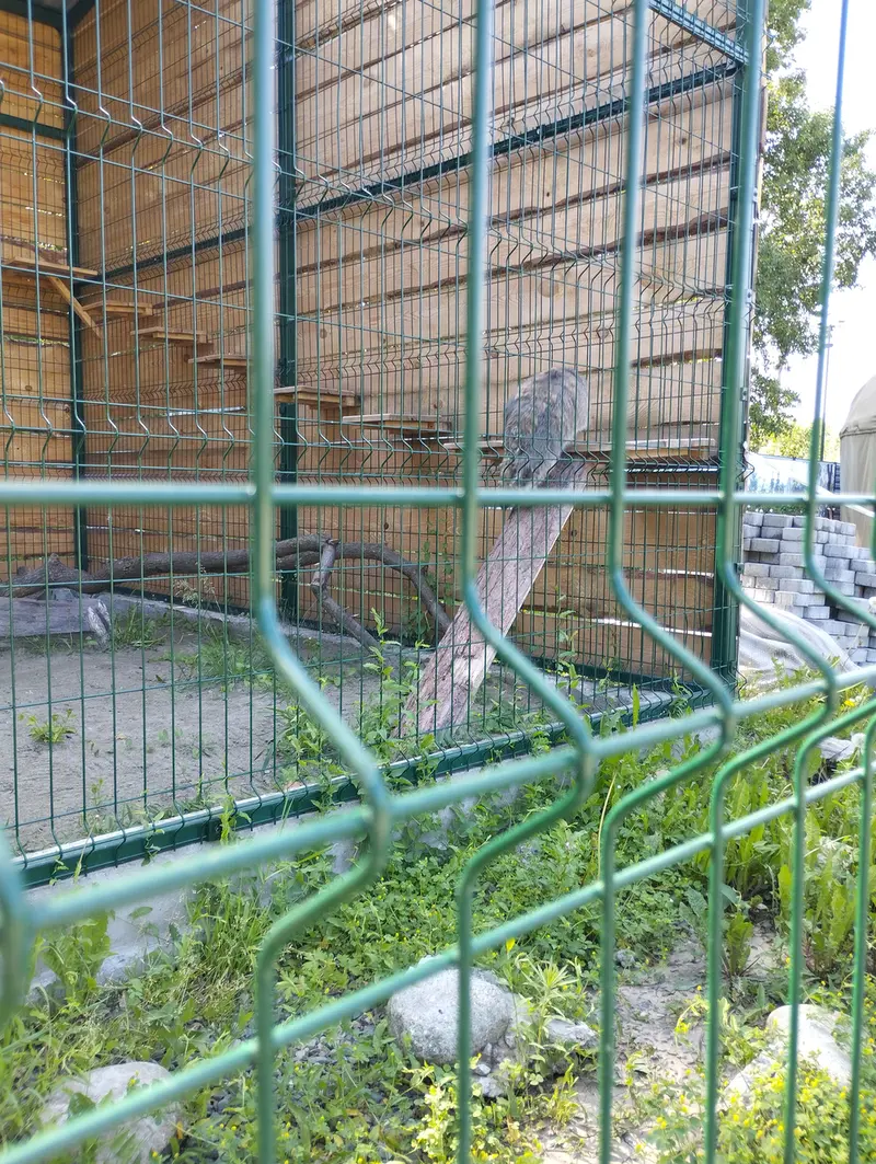 Фотография Чипа в Барнаульском Зоопарке «Лесная сказка»