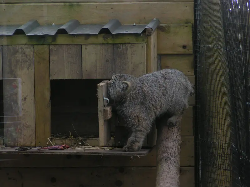 Фотография Алтая в Лэйклэнде Вайлдлайф Оазисе