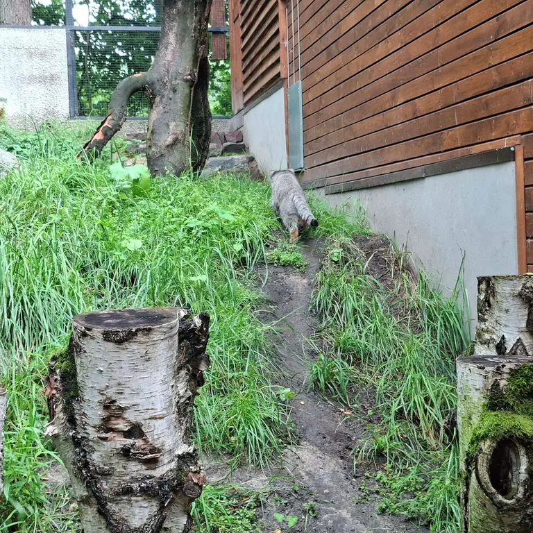 Фотография Мануэля в Гданском Зоопарке