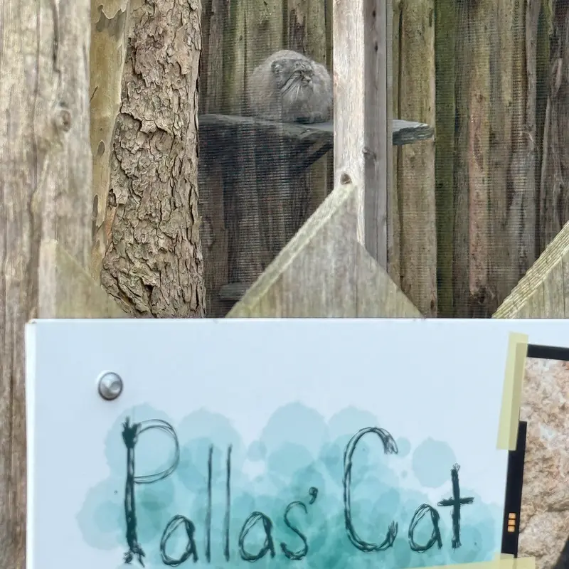 Фотография Пази в Зоопарке Поттер-парка