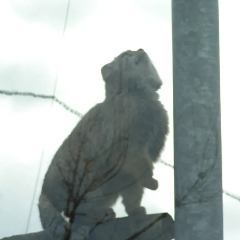 Фотография Бат-Эрдэнэ в Лэйклэнде Вайлдлайф Оазисе