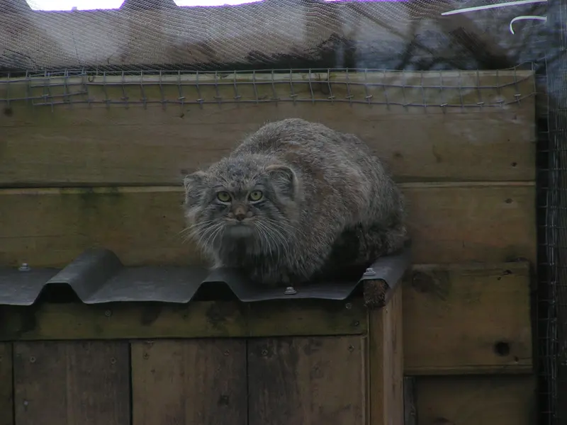 Фотография Алтая в Лэйклэнде Вайлдлайф Оазисе