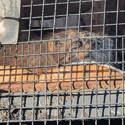 Фотография Намики в Ленинградском Зоопарке