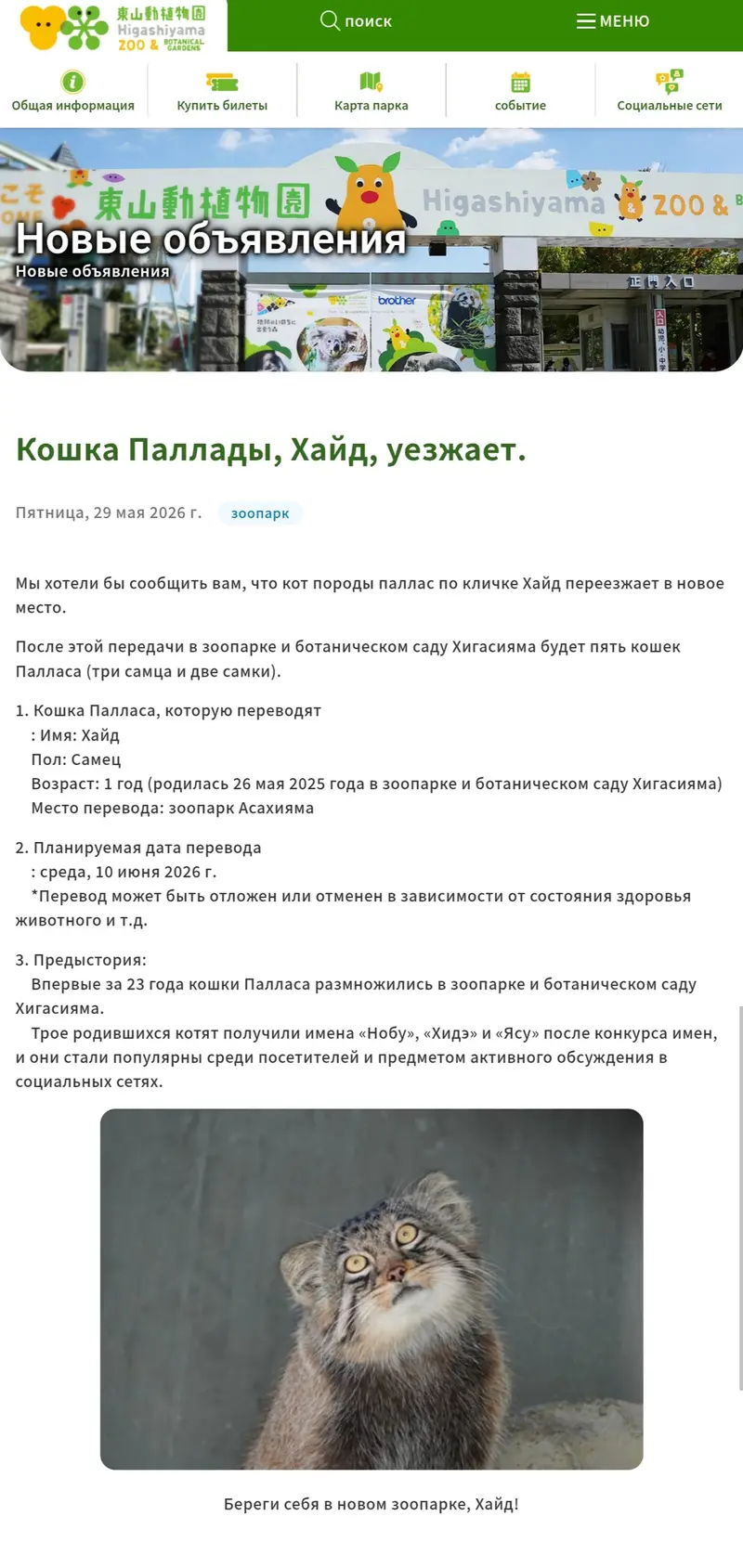 Фотография Хидэ в Зоопарке и ботаническом саде Хигашияма