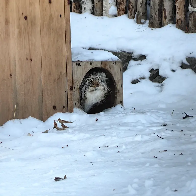 Фотография Евы в Новосибирском Зоопарке