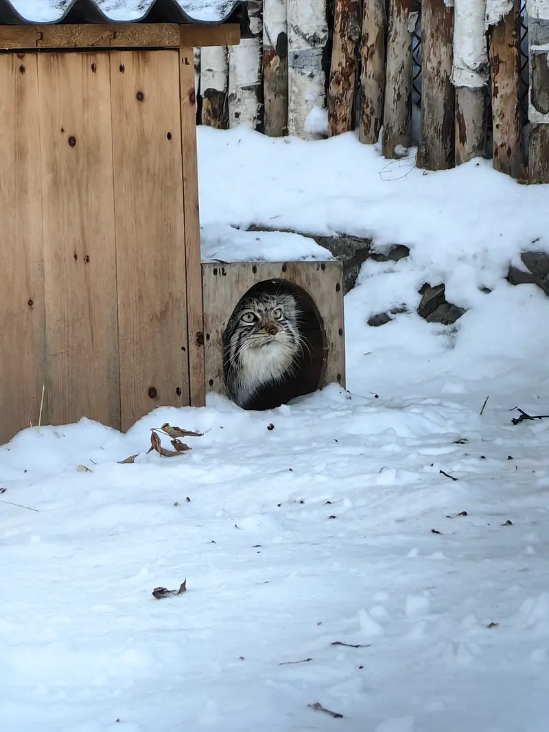 Фотография Евы в Новосибирском Зоопарке