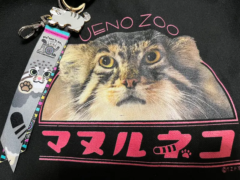 Фотография с манулом