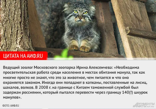 Фотография Варвары в Московском зоопарке