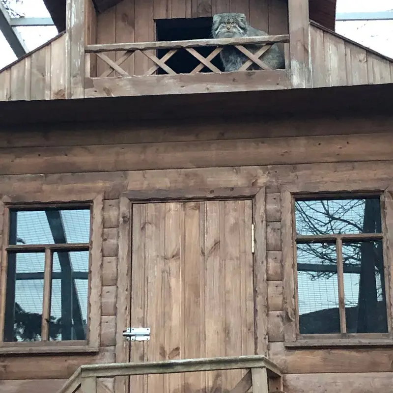 Фотография Алтая в Ижевском Зоопарке