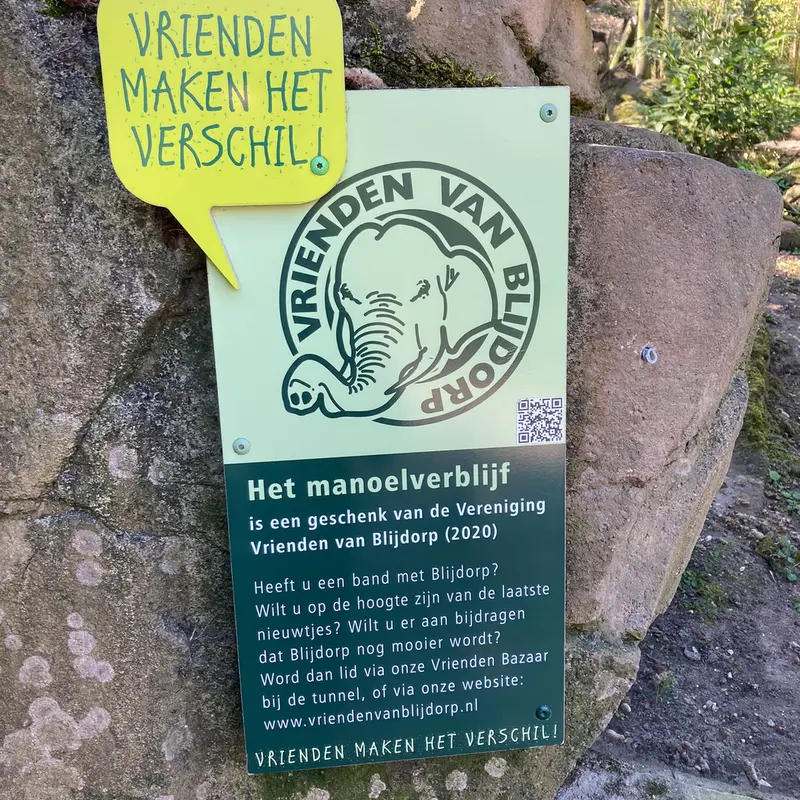 Фотография с манулом в Роттердамском Зоопарке