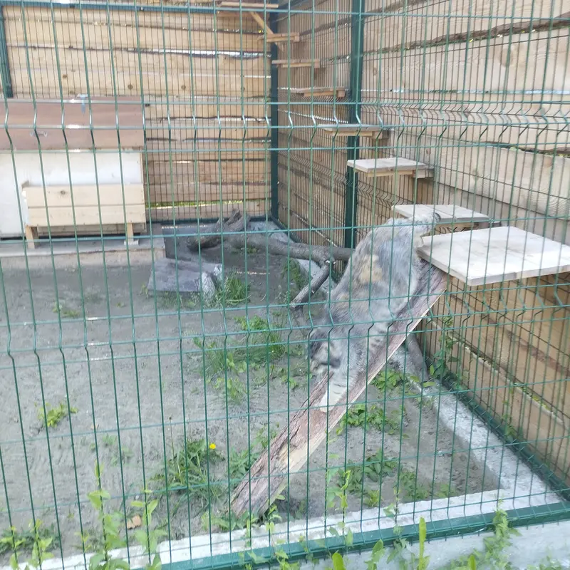 Фотография Чипа в Барнаульском Зоопарке «Лесная сказка»