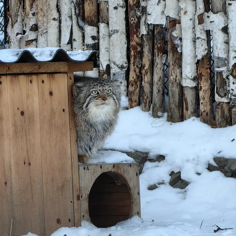 Фотография Евы в Новосибирском Зоопарке