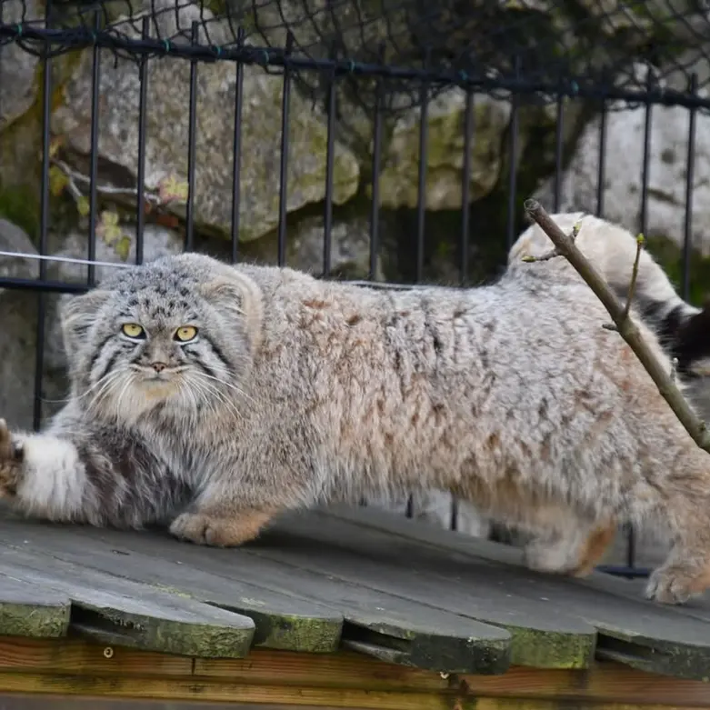 Фотография Аарона в Био-Топия Дюнкерке