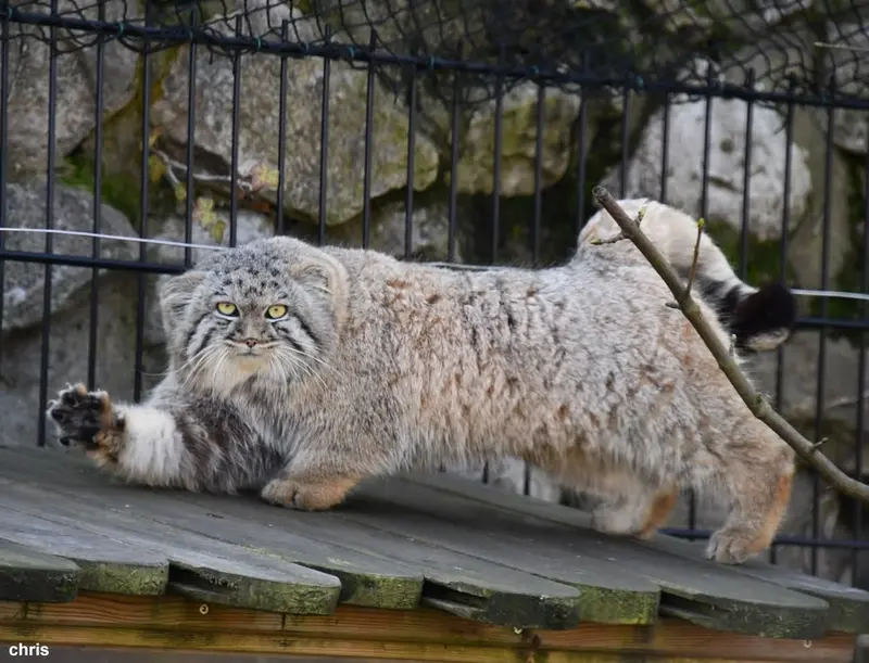 Фотография Аарона в Био-Топия Дюнкерке