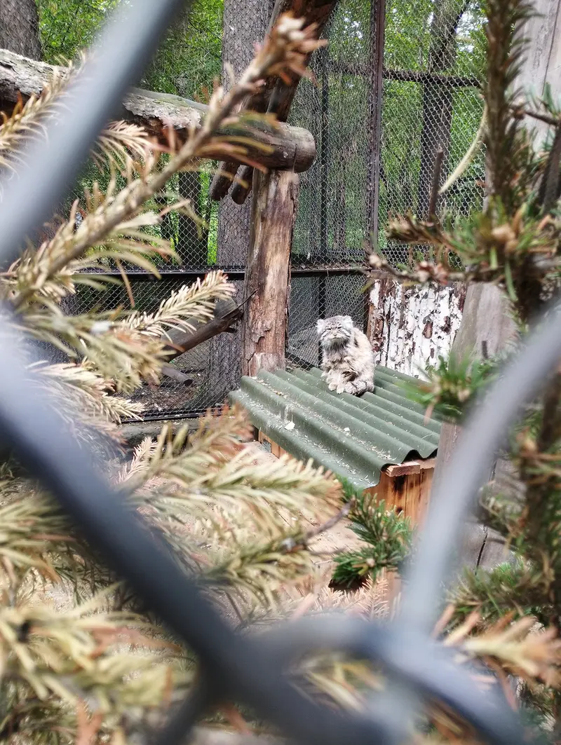 Фотография Зеленогорска в Новосибирском Зоопарке
