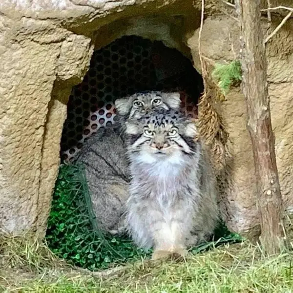 Фотография Полли в Царстве Животных Насу