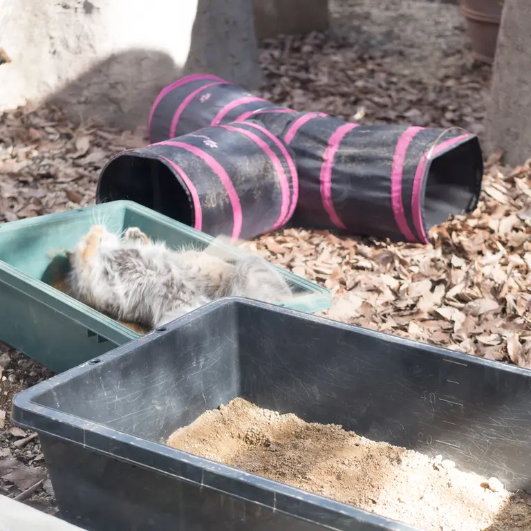 Фотография Ото в Детском зоопарке Сайтама