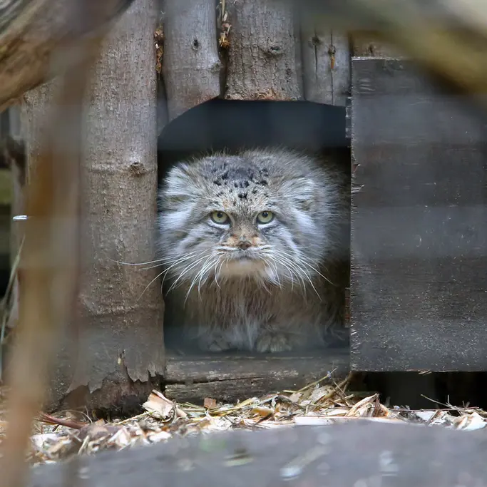 Фотография Джесси в Варшавском Зоопарке