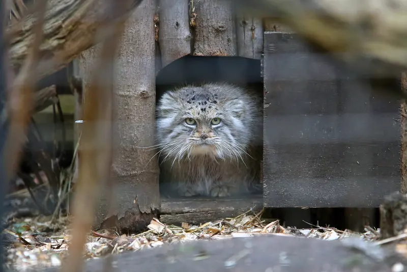 Фотография Джесси в Варшавском Зоопарке