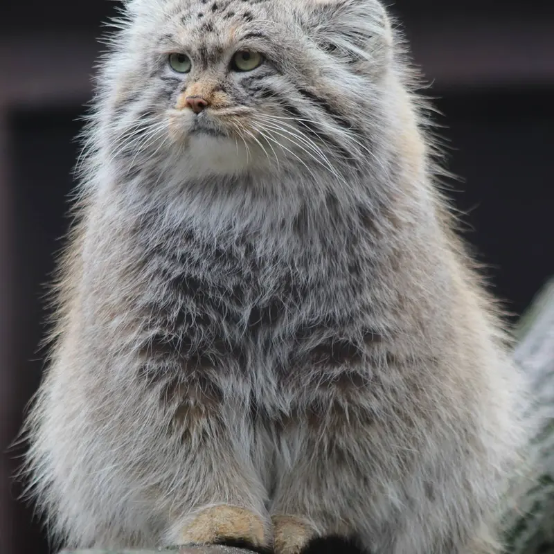 Фотография Оксаны в Остравском Зоопарке