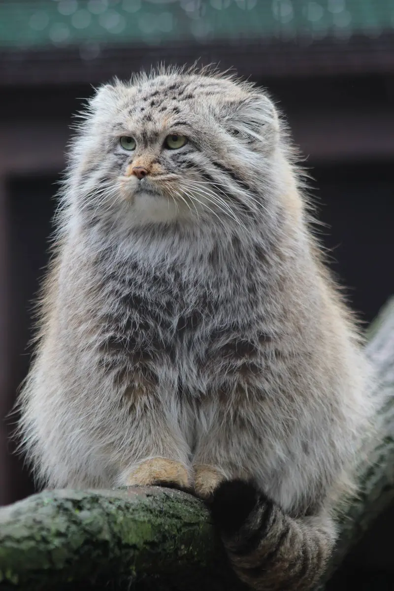 Фотография Оксаны в Остравском Зоопарке