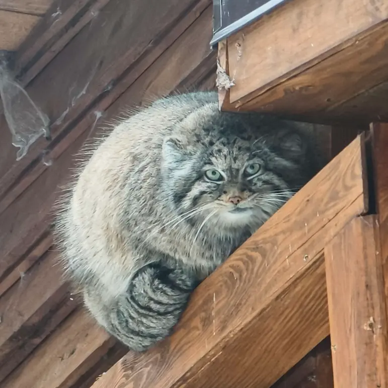 Фотография Улы в Гданском Зоопарке