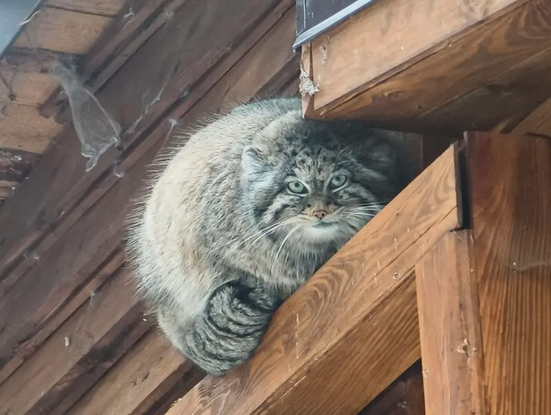 Фотография Улы в Гданском Зоопарке