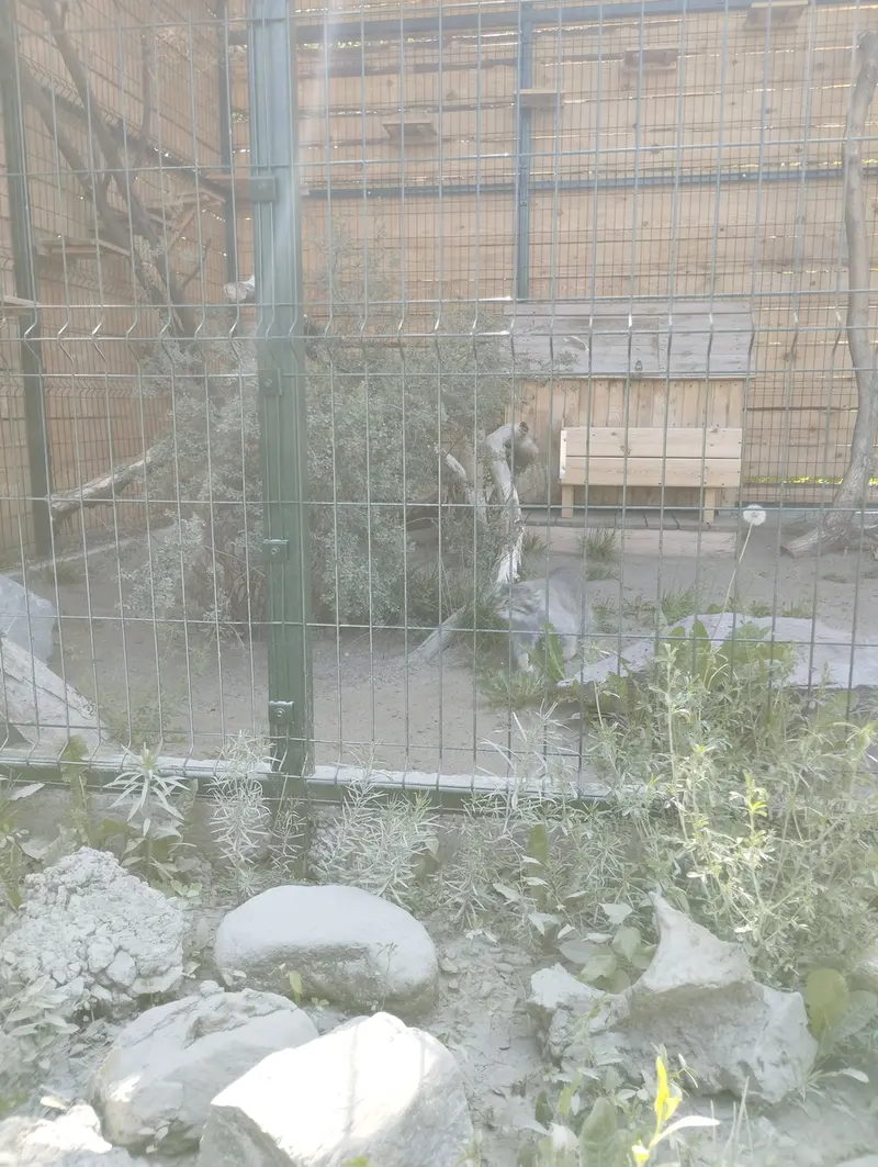 Фотография Пепе в Барнаульском Зоопарке «Лесная сказка»