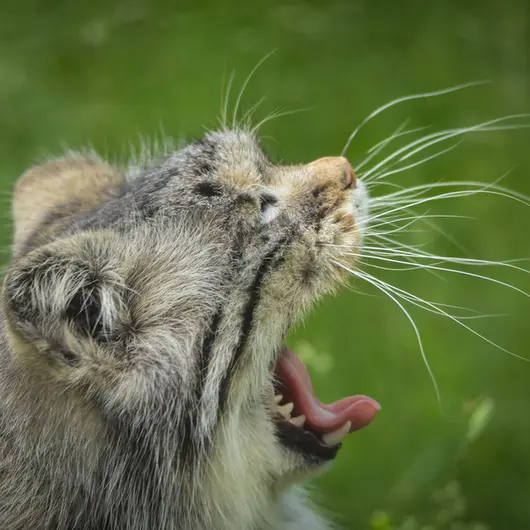 Фотография Агнеты в Зоопарке Паркен
