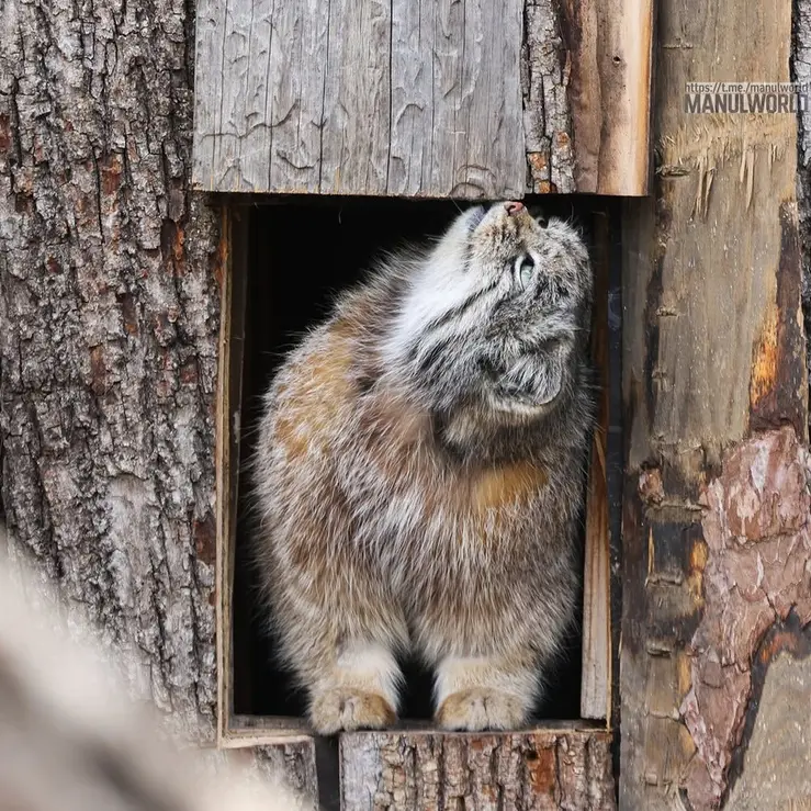 Фотография Кая в Зоопарке Красная река