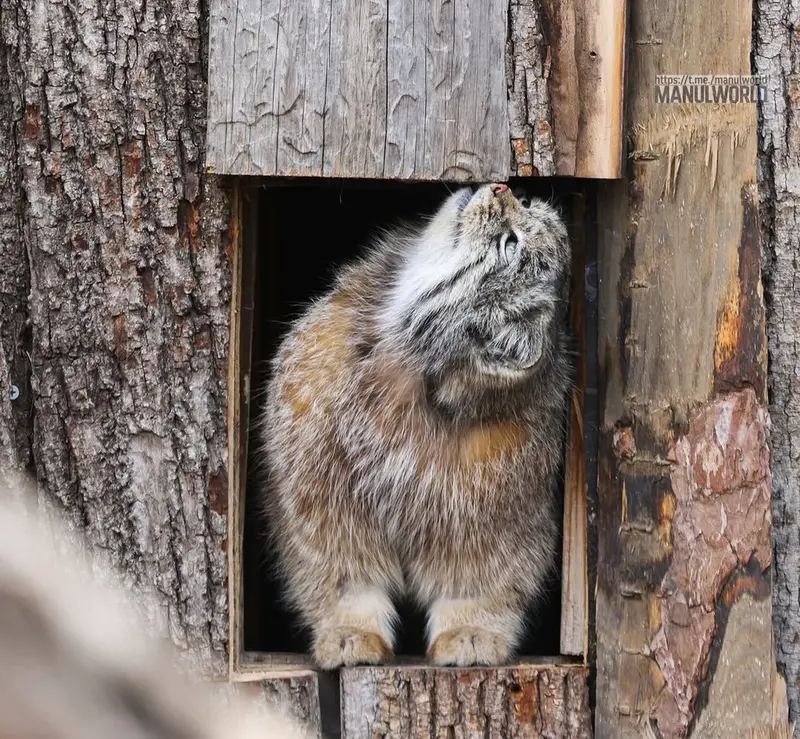 Фотография Кая в Зоопарке Красная река