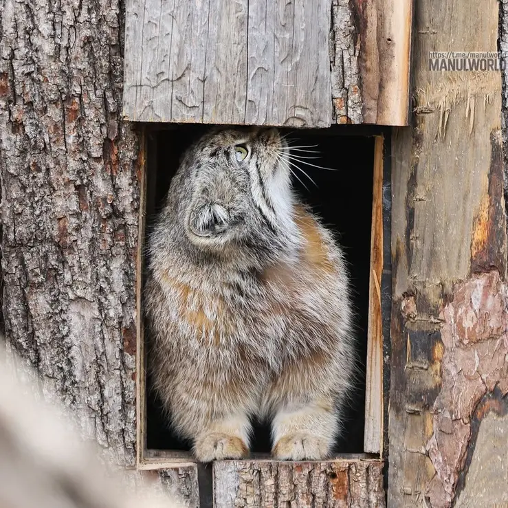 Фотография Кая в Зоопарке Красная река