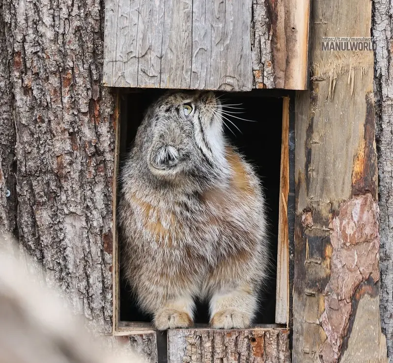 Фотография Кая в Зоопарке Красная река