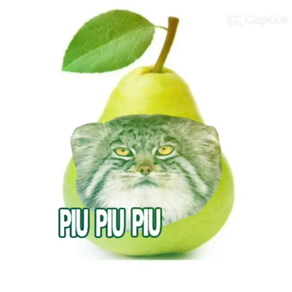 Пиу-пиу 😛