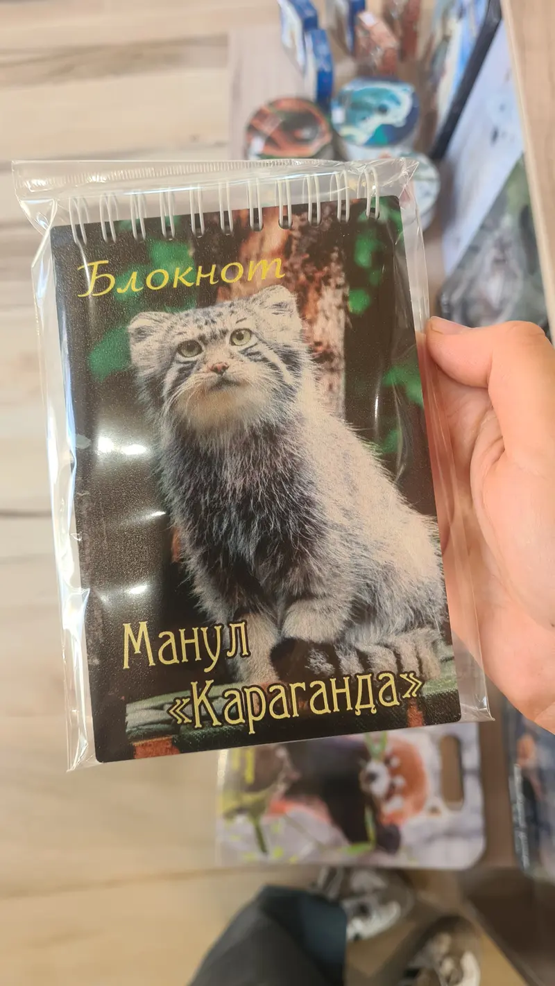 Фотография с манулом