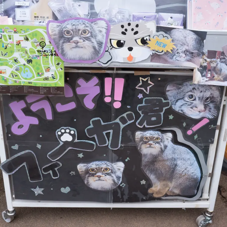 Фотография Фиги в Зоопарке Ногеяме