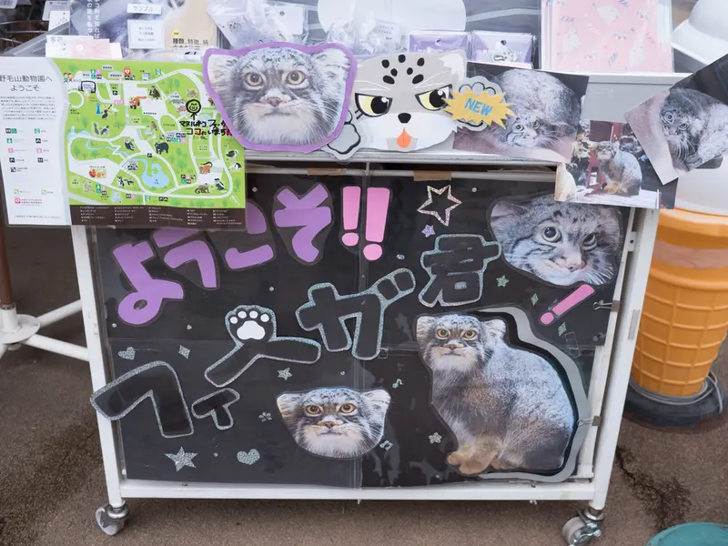 Фотография Фиги в Зоопарке Ногеяме