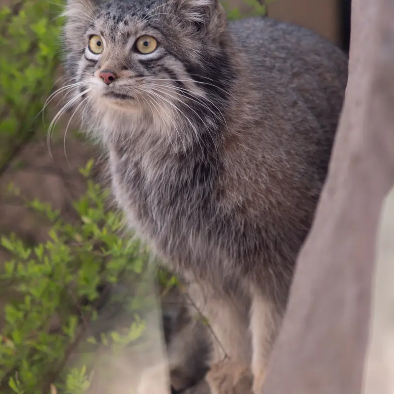 Фотография Ото в Детском зоопарке Сайтама