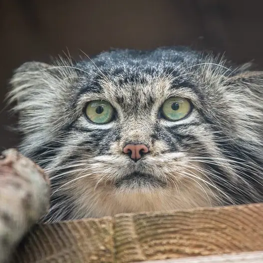 Фотография Тимофея в Московском Зоопарке