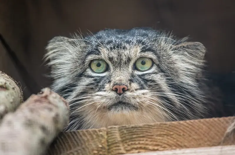 Фотография Тимофея в Московском Зоопарке