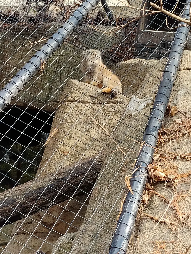 Фотография Мушу в Зоопарке Цинциннати