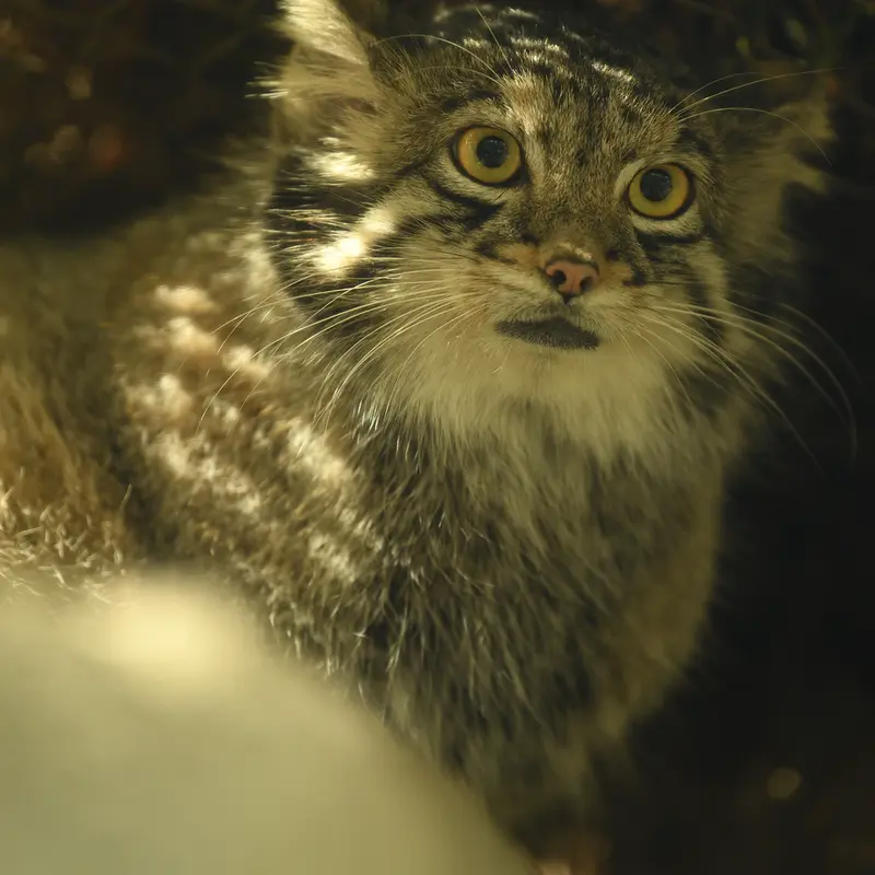 Фотография Ото в Царстве Животных Кобе