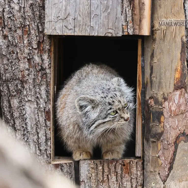 Фотография Кая в Зоопарке Красная река