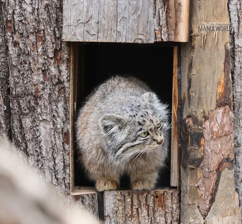 Фотография Кая в Зоопарке Красная река