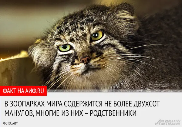 Фотография Варвары в Московском зоопарке