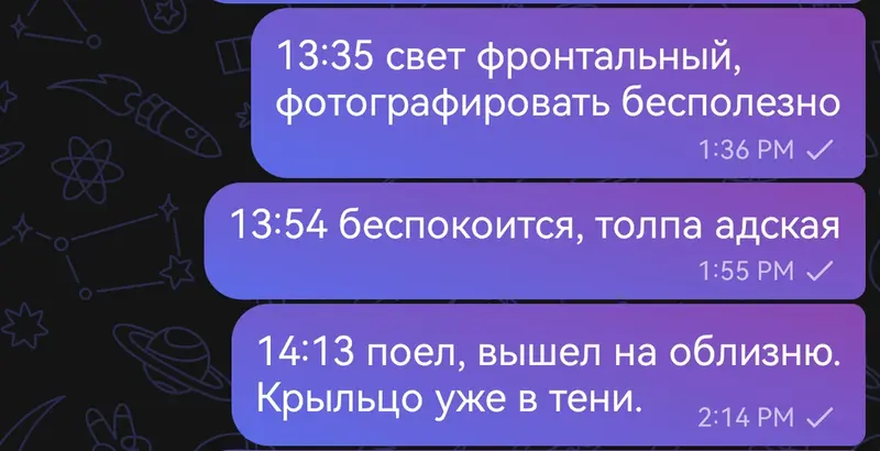 Фотография с манулом